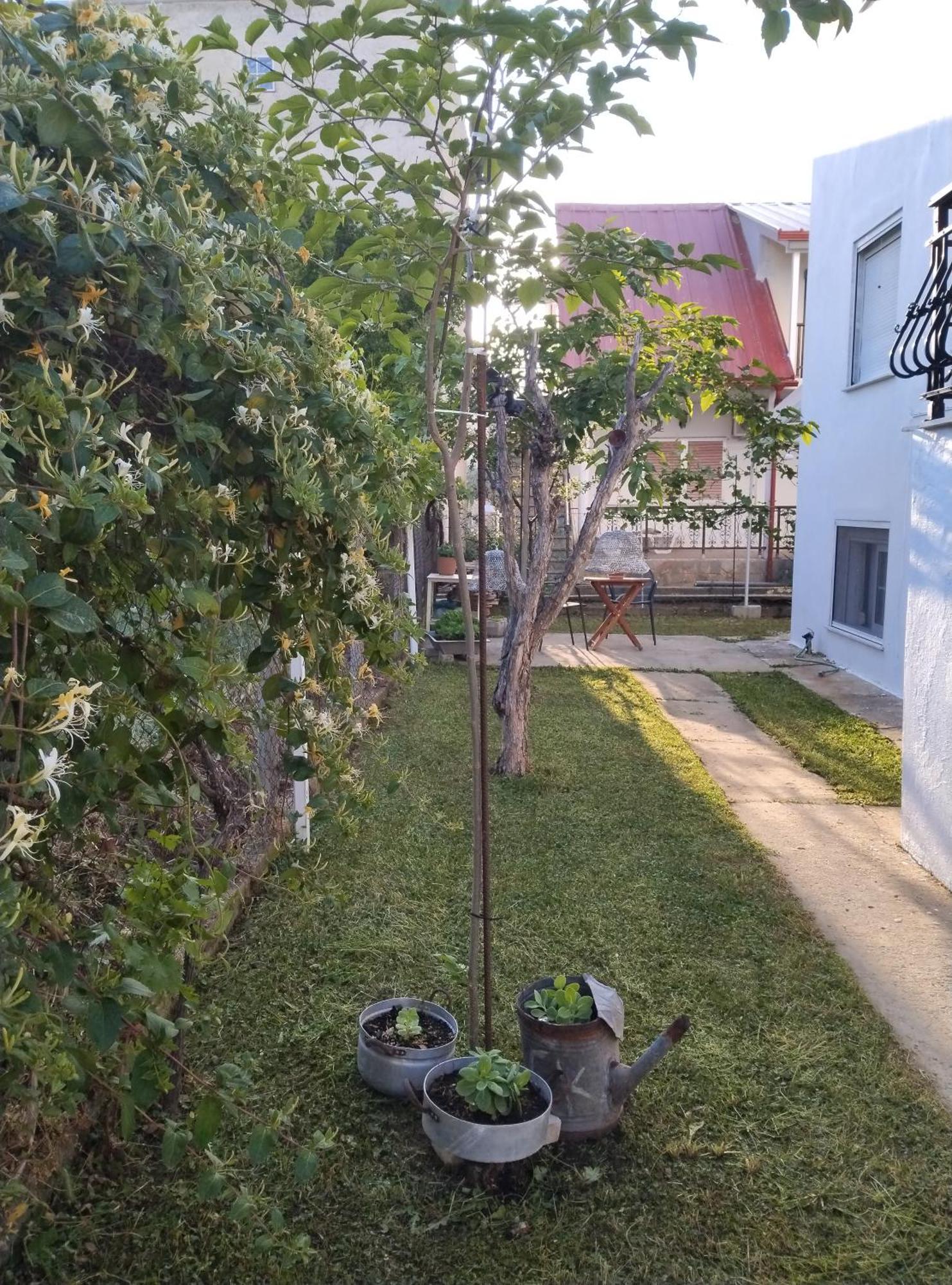 Villa Θαλασσινή Αυρα à Vrasná Extérieur photo
