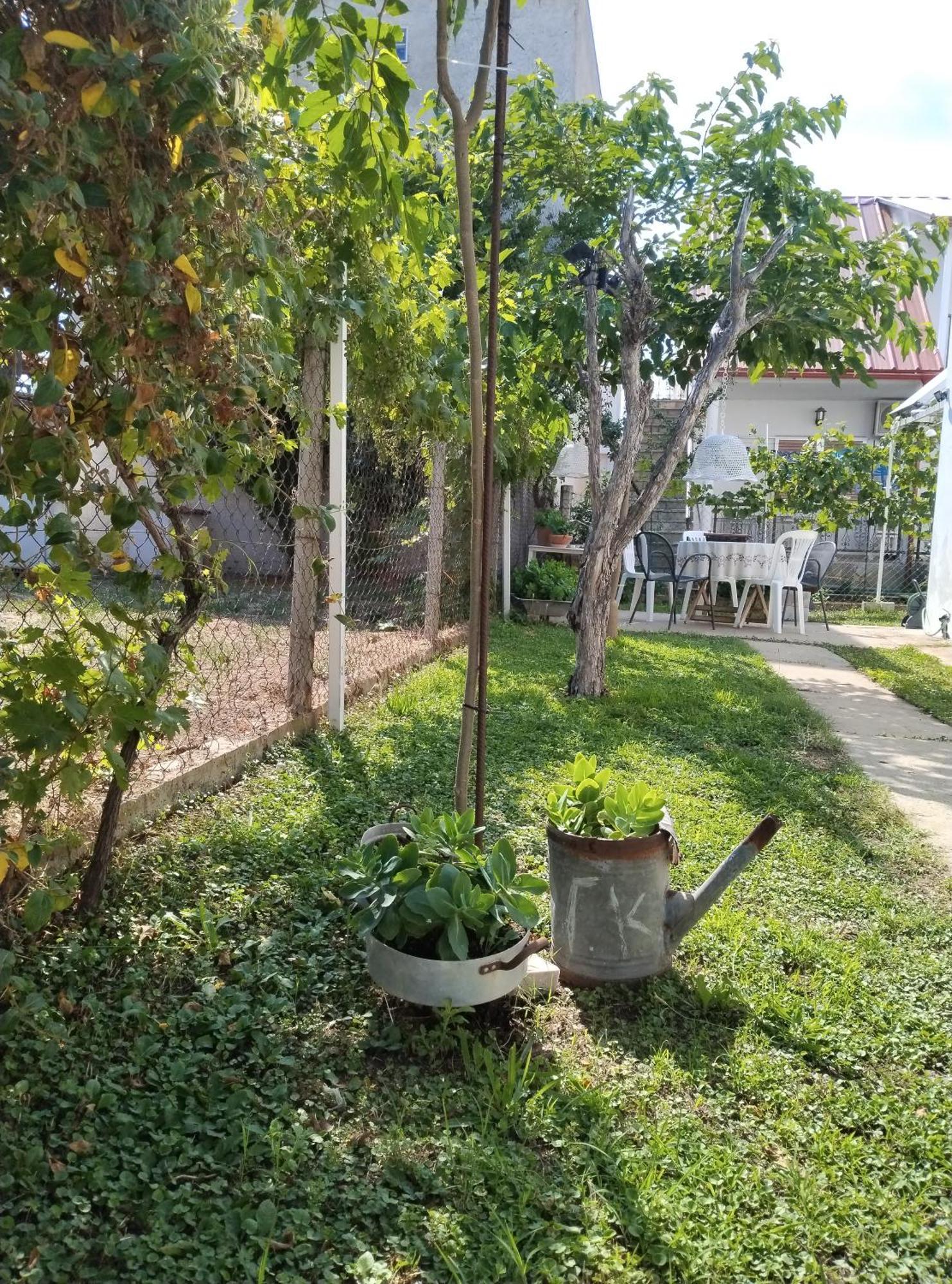 Villa Θαλασσινή Αυρα à Vrasná Extérieur photo